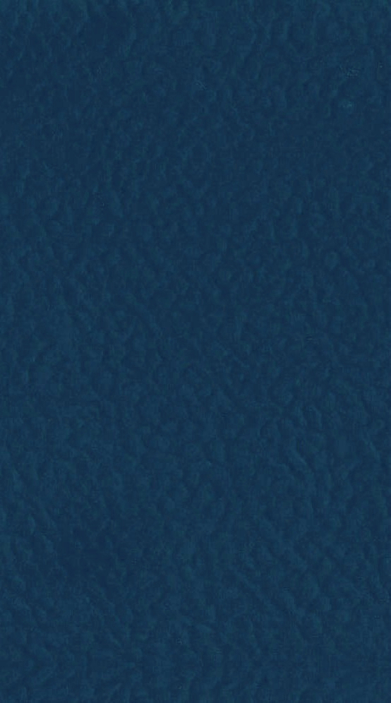 Sport Gerflor Πάτωμα γυμναστήριου 9mm blue